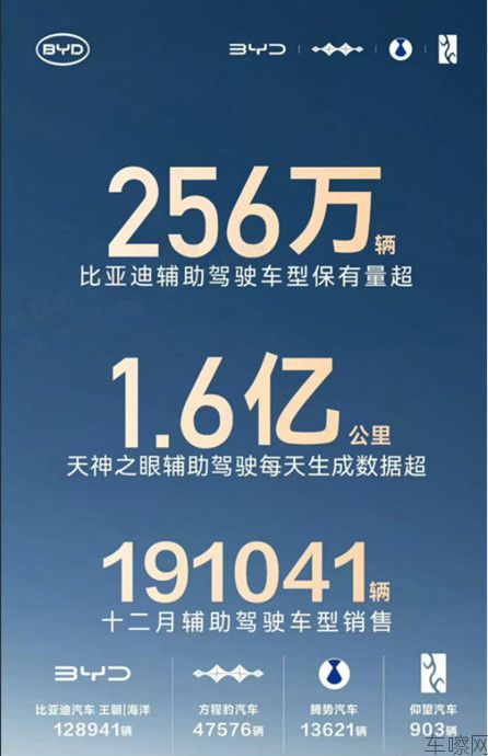 新闻稿件1：包揽中国&全球销冠！比亚迪2025年460万销量续写新能源传奇784