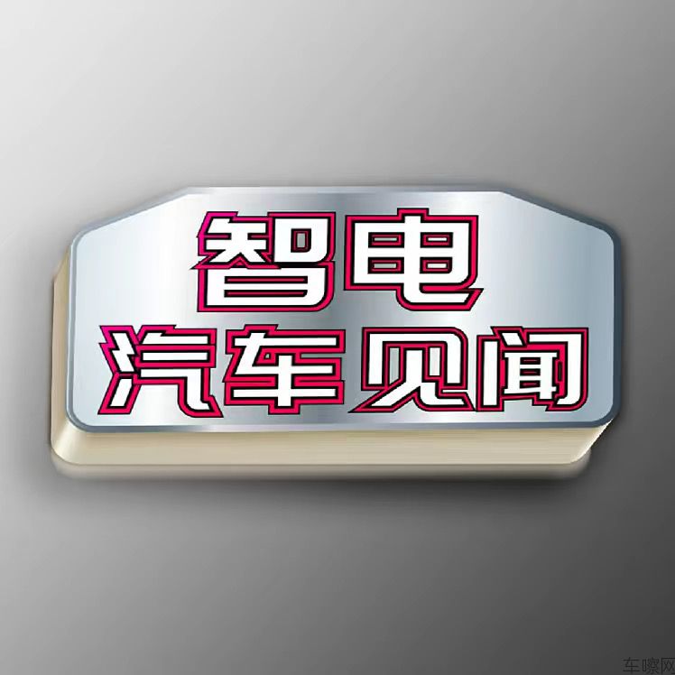 大Lian智电汽车见闻
