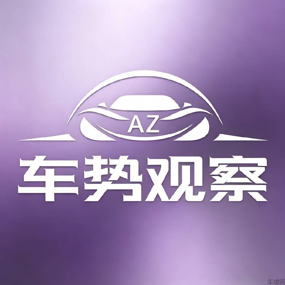 阿紫车势观察